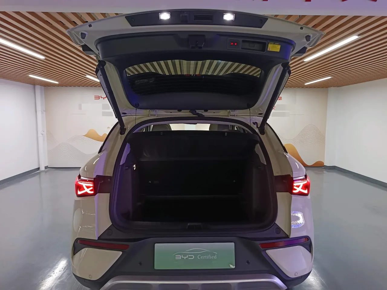 BYD Yuan PLUS 2025 Yuan PLUS Smart Driving Edition 510KM Exceed Automatic Gear 16