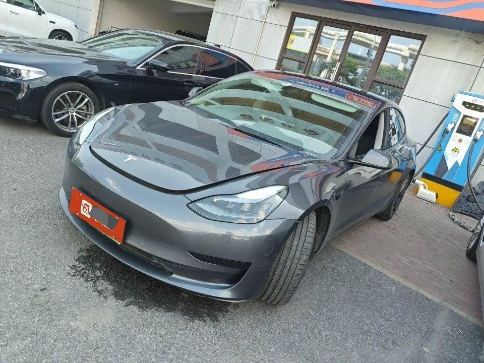 Tesla 2021 Model 3 Standard Endurance Rear Drive Upgraded Automatic Gear 3