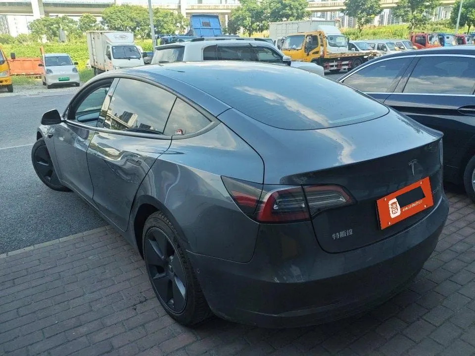 Tesla 2021 Model 3 Standard Endurance Rear Drive Upgraded Automatic Gear 5