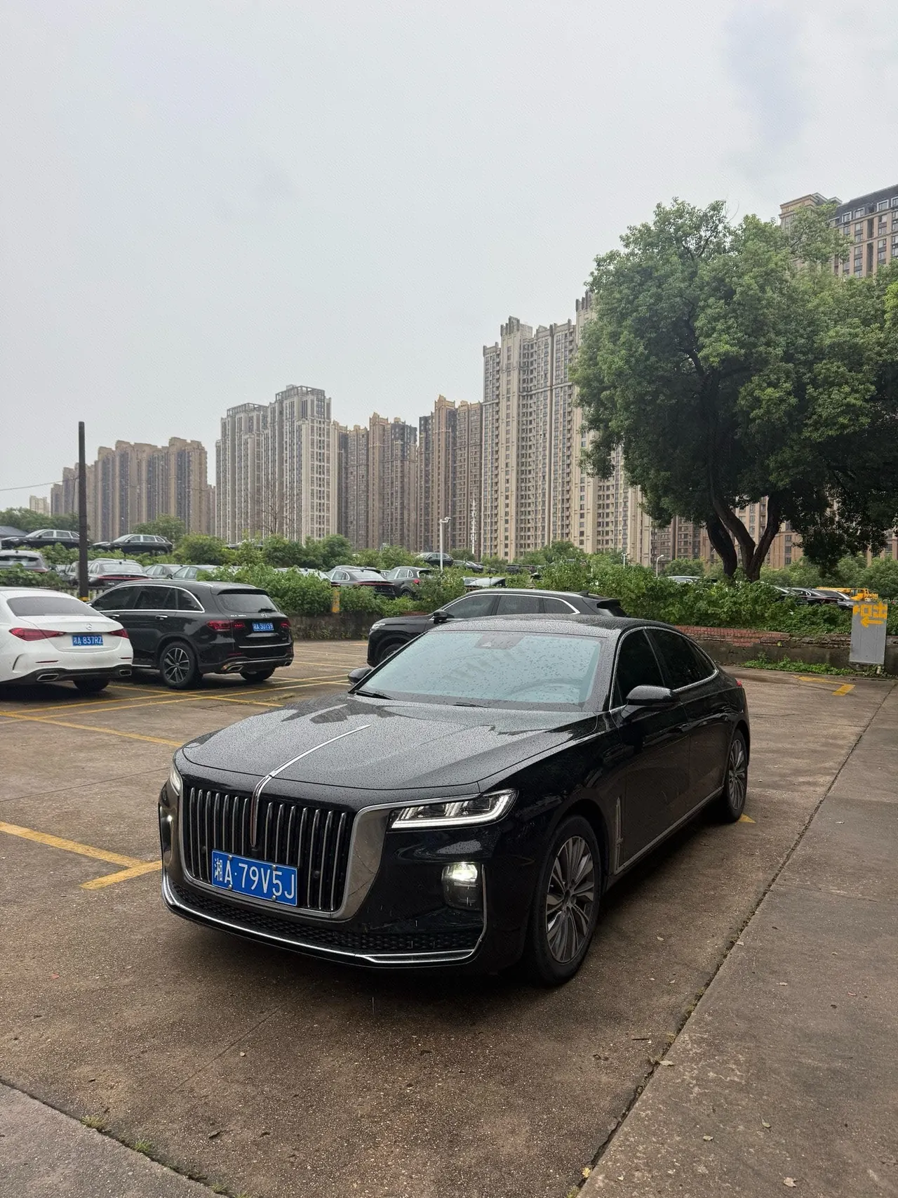 Open image lightbox: HongQi 2020 H9 48V 2.0T Zhilian Flag Yue Edition Automatic Gear