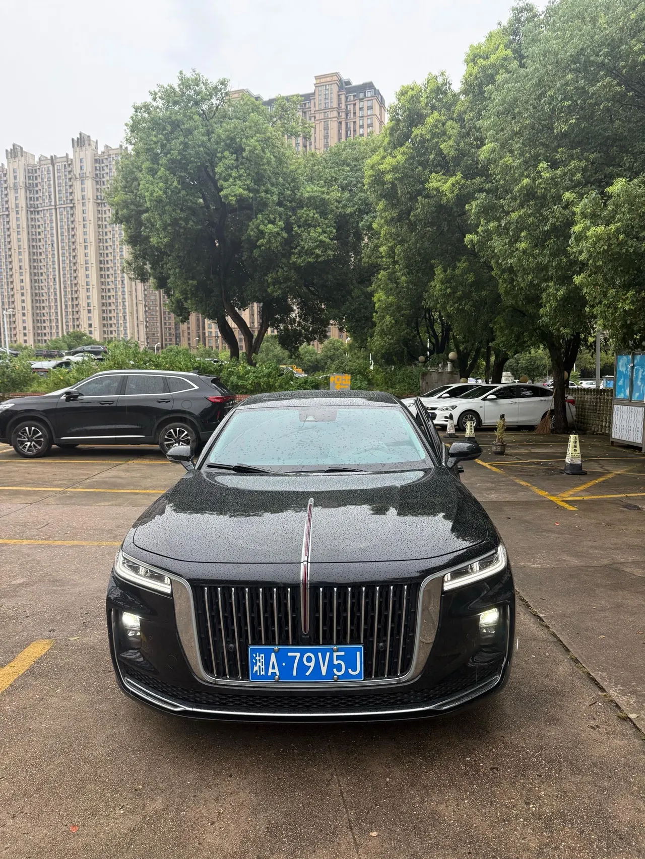 HongQi 2020 H9 48V 2.0T Zhilian Flag Yue Edition Automatic Gear 2