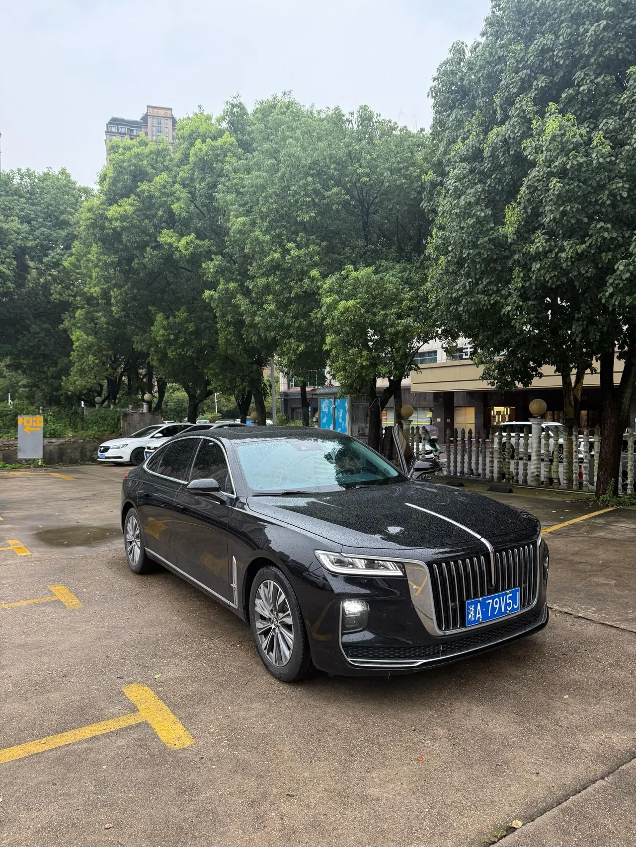 HongQi 2020 H9 48V 2.0T Zhilian Flag Yue Edition Automatic Gear 3