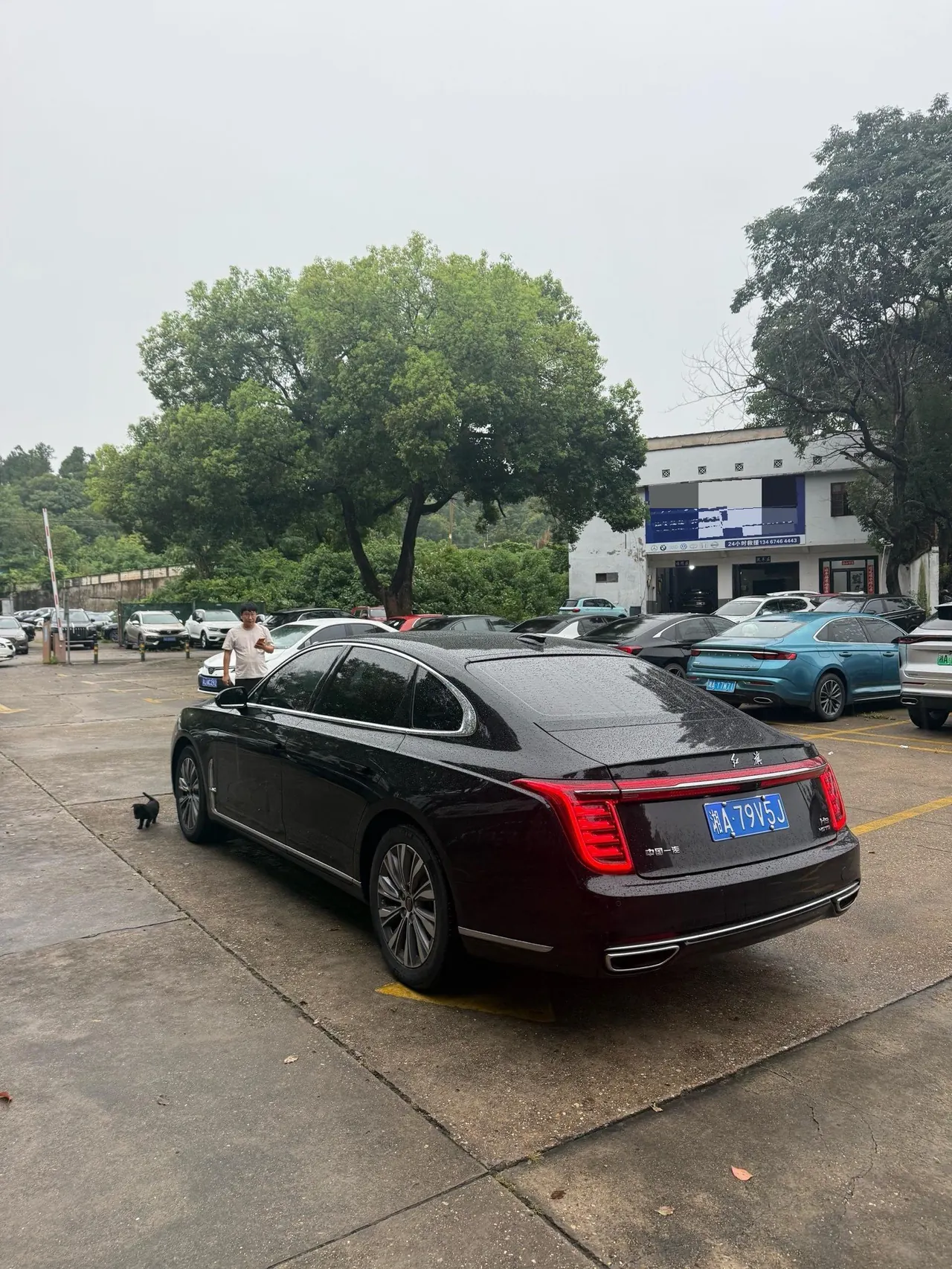 HongQi 2020 H9 48V 2.0T Zhilian Flag Yue Edition Automatic Gear 4