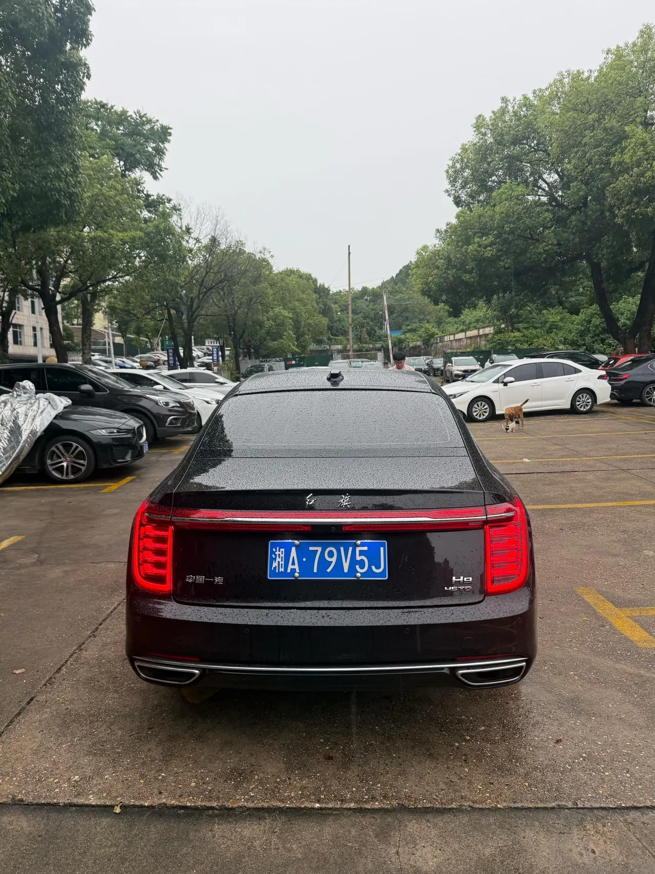 HongQi 2020 H9 48V 2.0T Zhilian Flag Yue Edition Automatic Gear 5