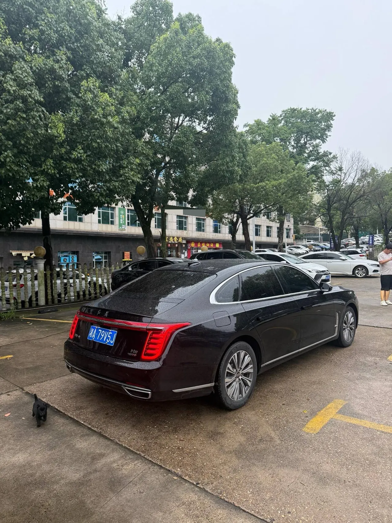 HongQi 2020 H9 48V 2.0T Zhilian Flag Yue Edition Automatic Gear 6