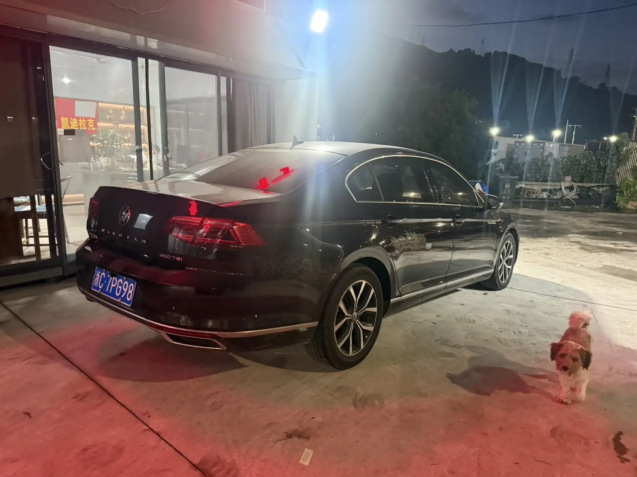Volkswagen 2020 Magotan 2.0TSI 330TSI Leading Automatic 4