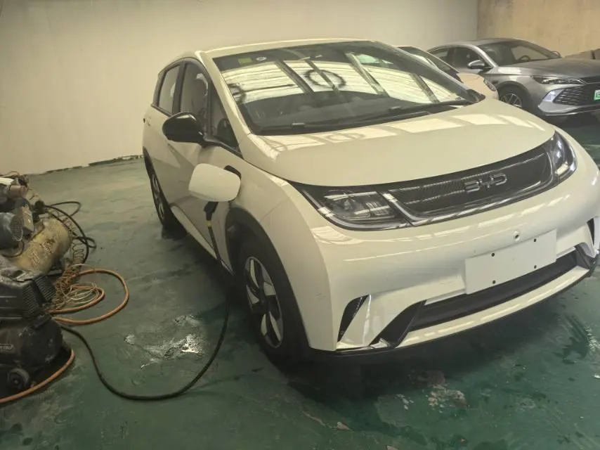 BYD 2025 Dolphins 420km Free Edition Automatic 2