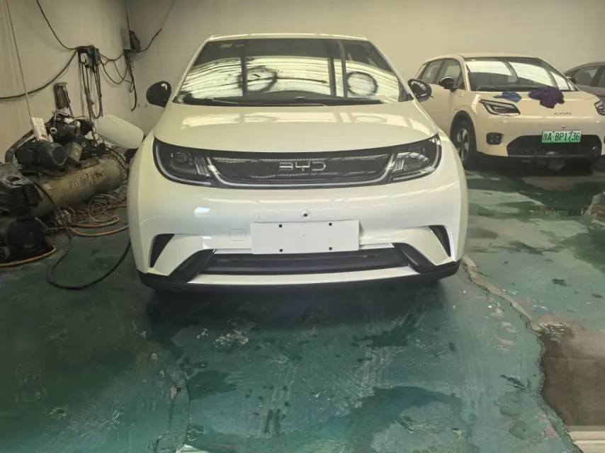 BYD 2025 Dolphins 420km Free Edition Automatic 3