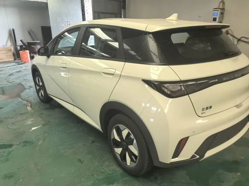 BYD 2025 Dolphins 420km Free Edition Automatic 4