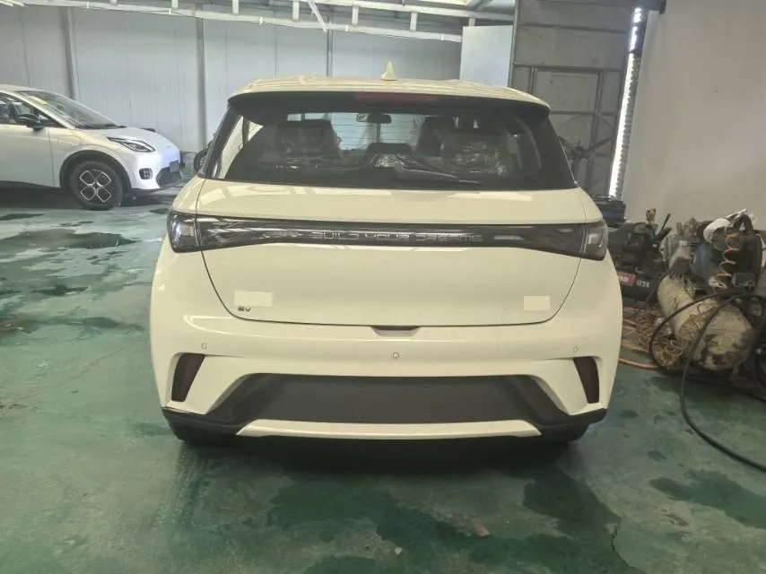 BYD 2025 Dolphins 420km Free Edition Automatic 5