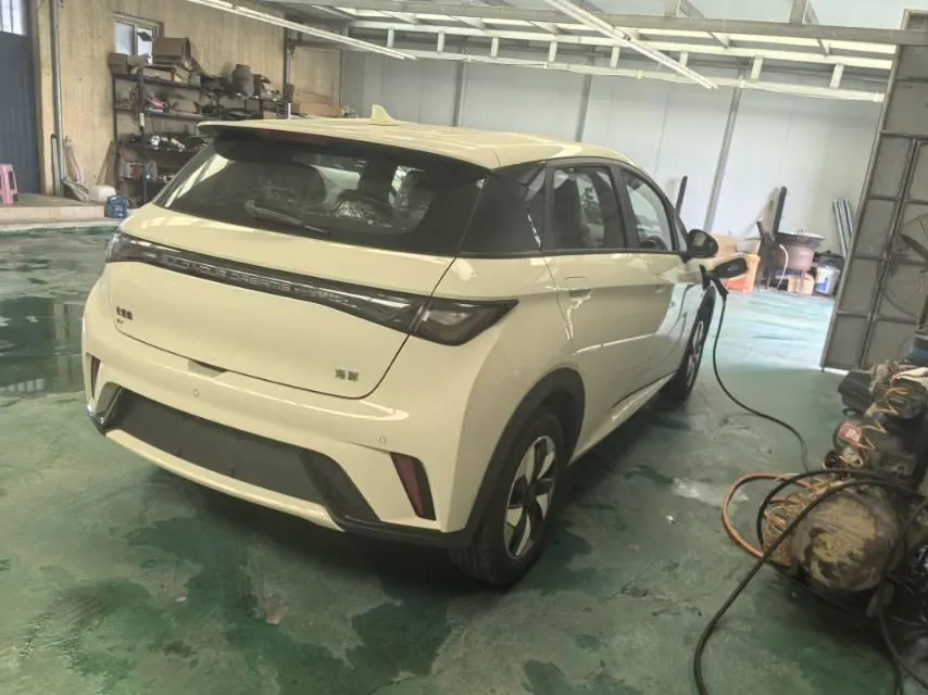 BYD 2025 Dolphins 420km Free Edition Automatic 6