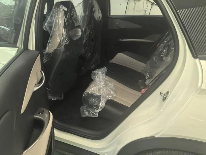 BYD 2025 Dolphins 420km Free Edition Automatic 9