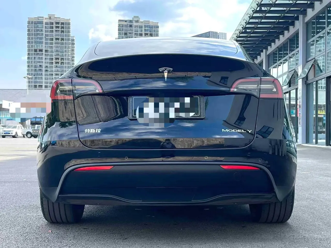 Tesla 2023 Model Y rear-wheel drive version automatic transmission 8