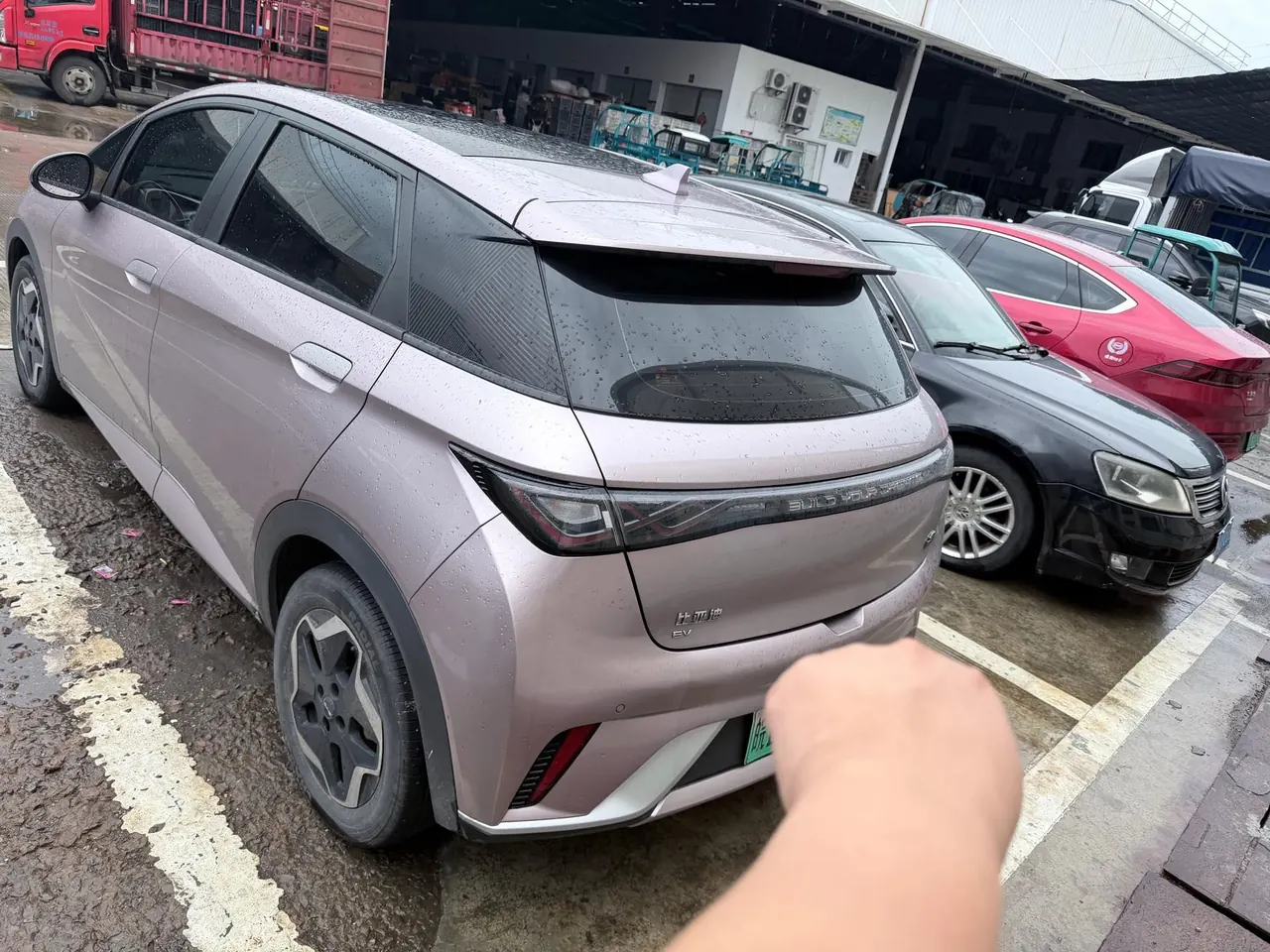 BYD 2021 Dolphin 405km Fashion Edition Automatic 2