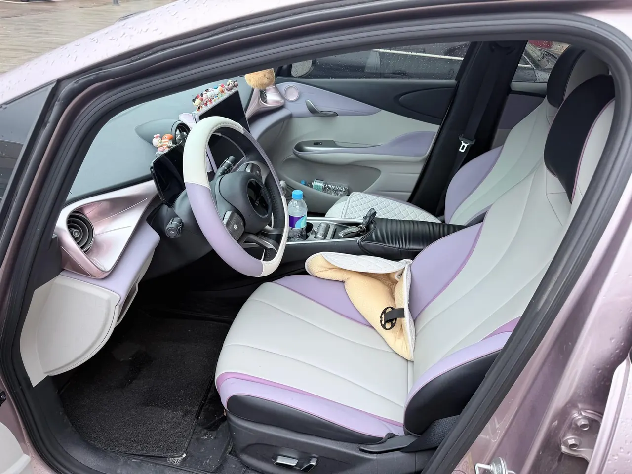 BYD 2021 Dolphin 405km Fashion Edition Automatic 3