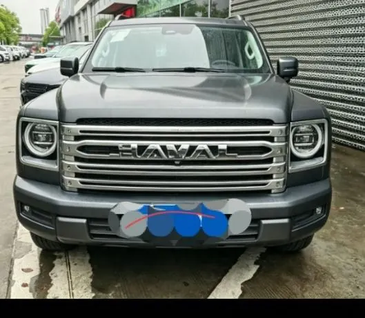Haval 2024 H9 2.0T Four-wheel Drive Extreme Edition Automatic Gear 5