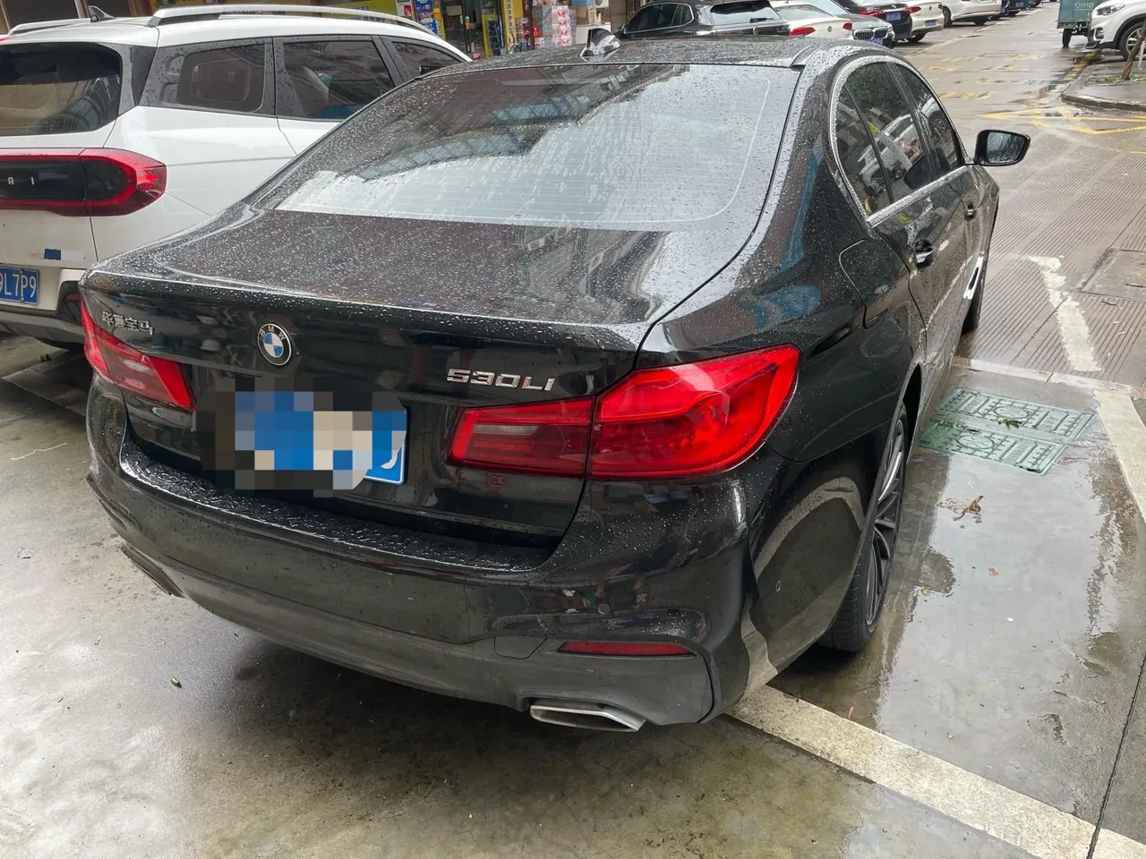 BMW 5 Series 2020 530Li 2.0T Leading M Sports Suit Automatic Gear 4