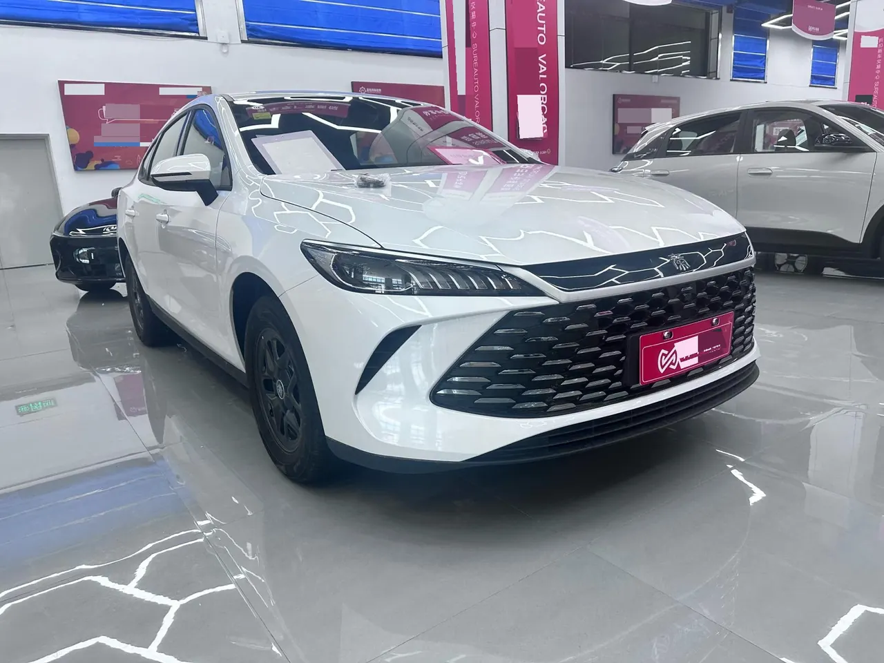 BYD 2026 Qin PLUS DM-i 1.5 CVT 128km Entry-Level Automatic 2