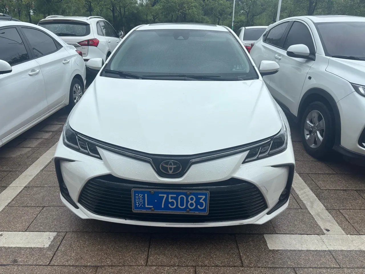 Toyota 2023 Corolla 1.2T Stepless Pioneer Edition Automatic Gear 2