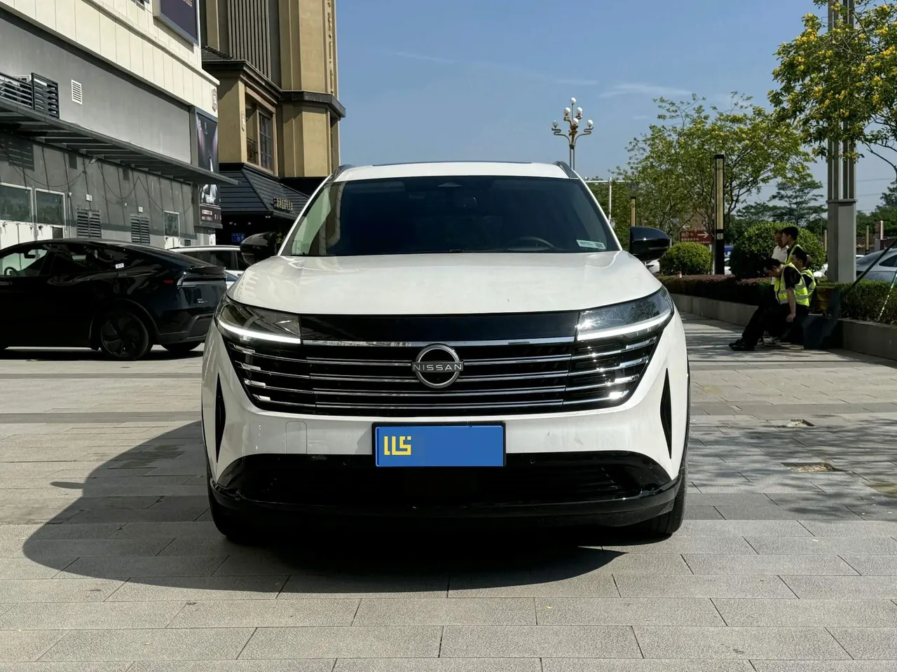 Nissan 2024 Tanlu 2.0T 380VC-TURBO 4-wheel drive Zhizun Edition 6-seat automatic gear 2