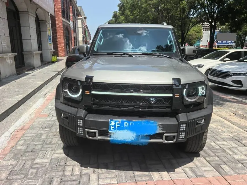 Jetour 2023 Traveler 2.0T 4WD Crossing PRO Automatic Gear 2