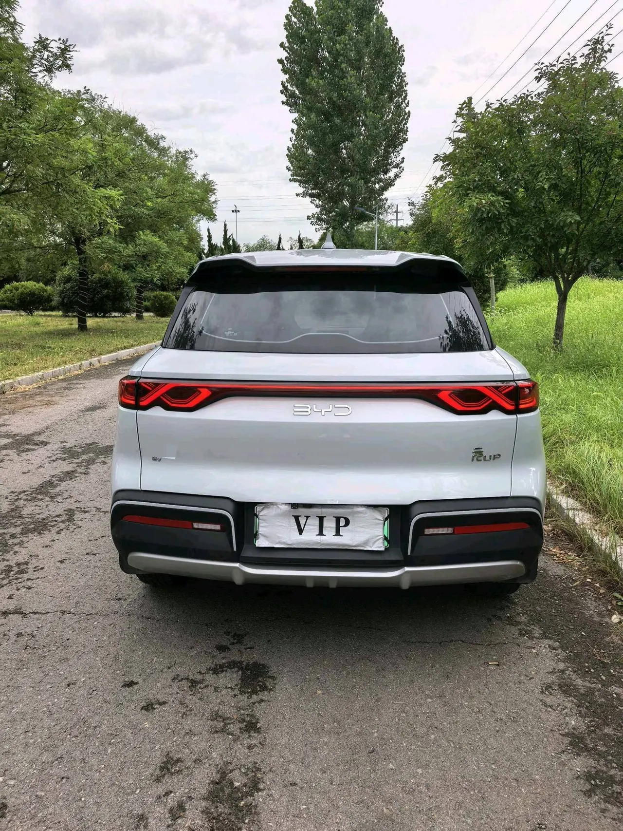 BYD 2024 Yuan UP 401KM Vital Edition Automatic Gear 8