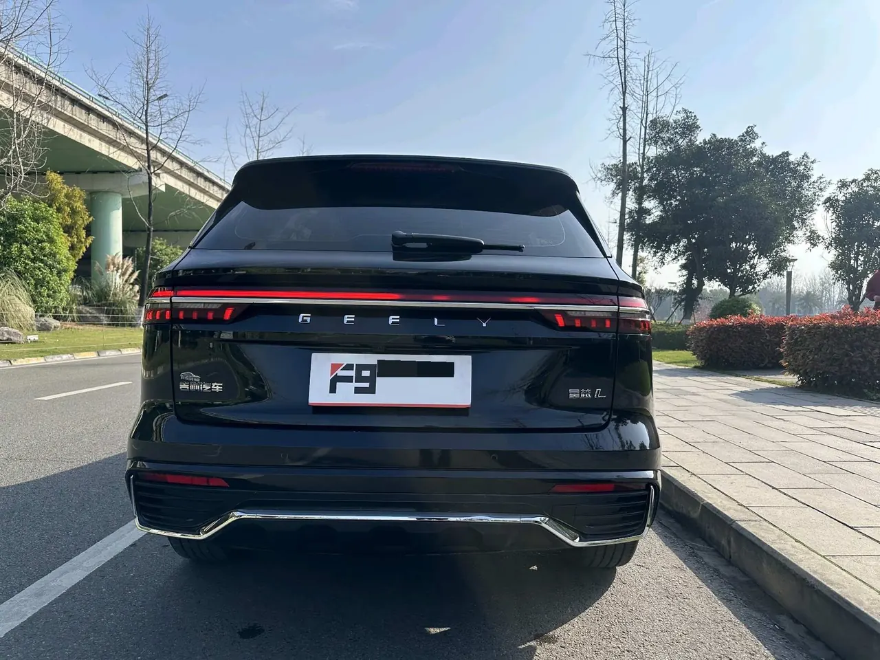 Geely 2021 XingyueL (Monjaro) 2.0TD EVO two-wheel drive distinguished automatic transmission 5