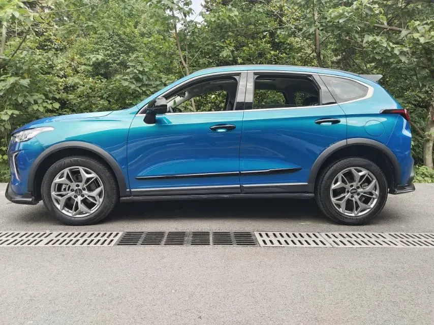 Haval 2022 red rabbit 1.5T strength version copper rabbit automatic gear 2