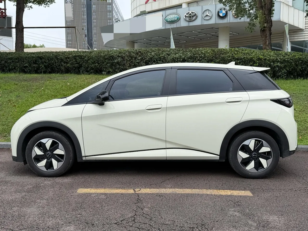 BYD 2025 Dolphin Smart Driving 410km Fashion Automatic Gear 2