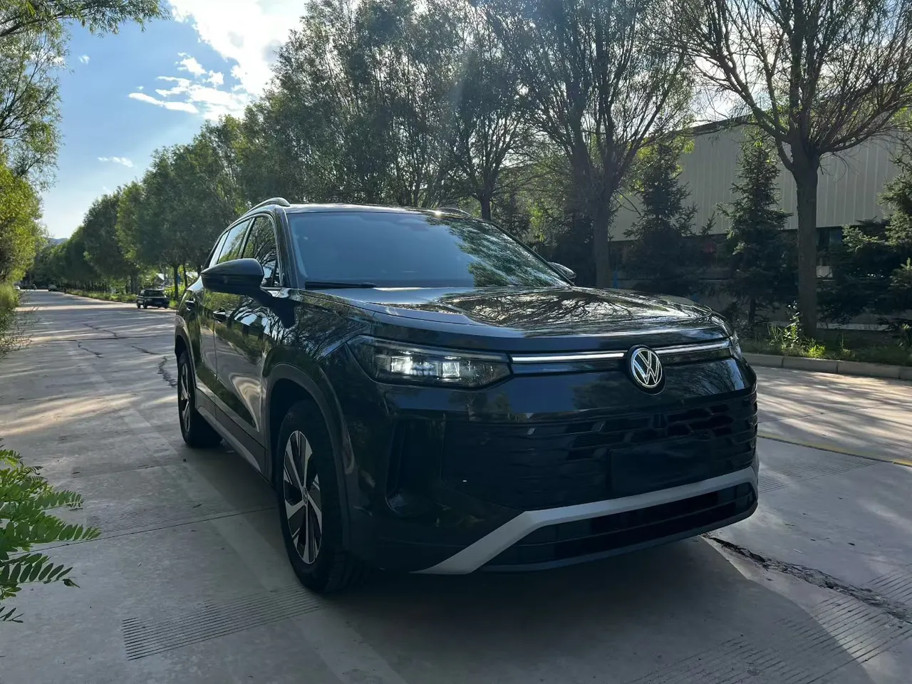 Volkswagen 2025 Tanyue L 2.0TSI 330TSI Two-Drive Elite Automatic 2