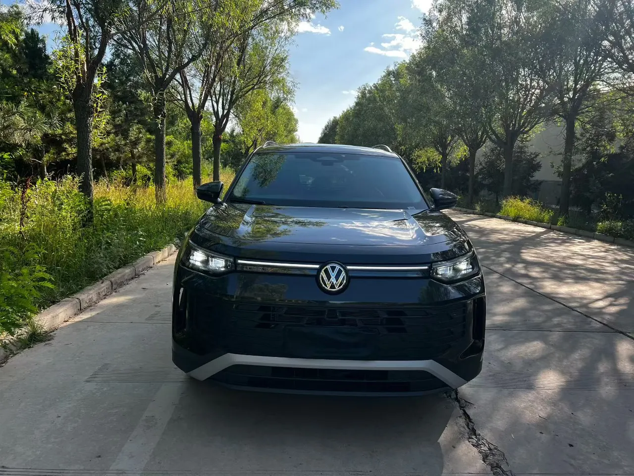 Volkswagen 2025 Tanyue L 2.0TSI 330TSI Two-Drive Elite Automatic 3