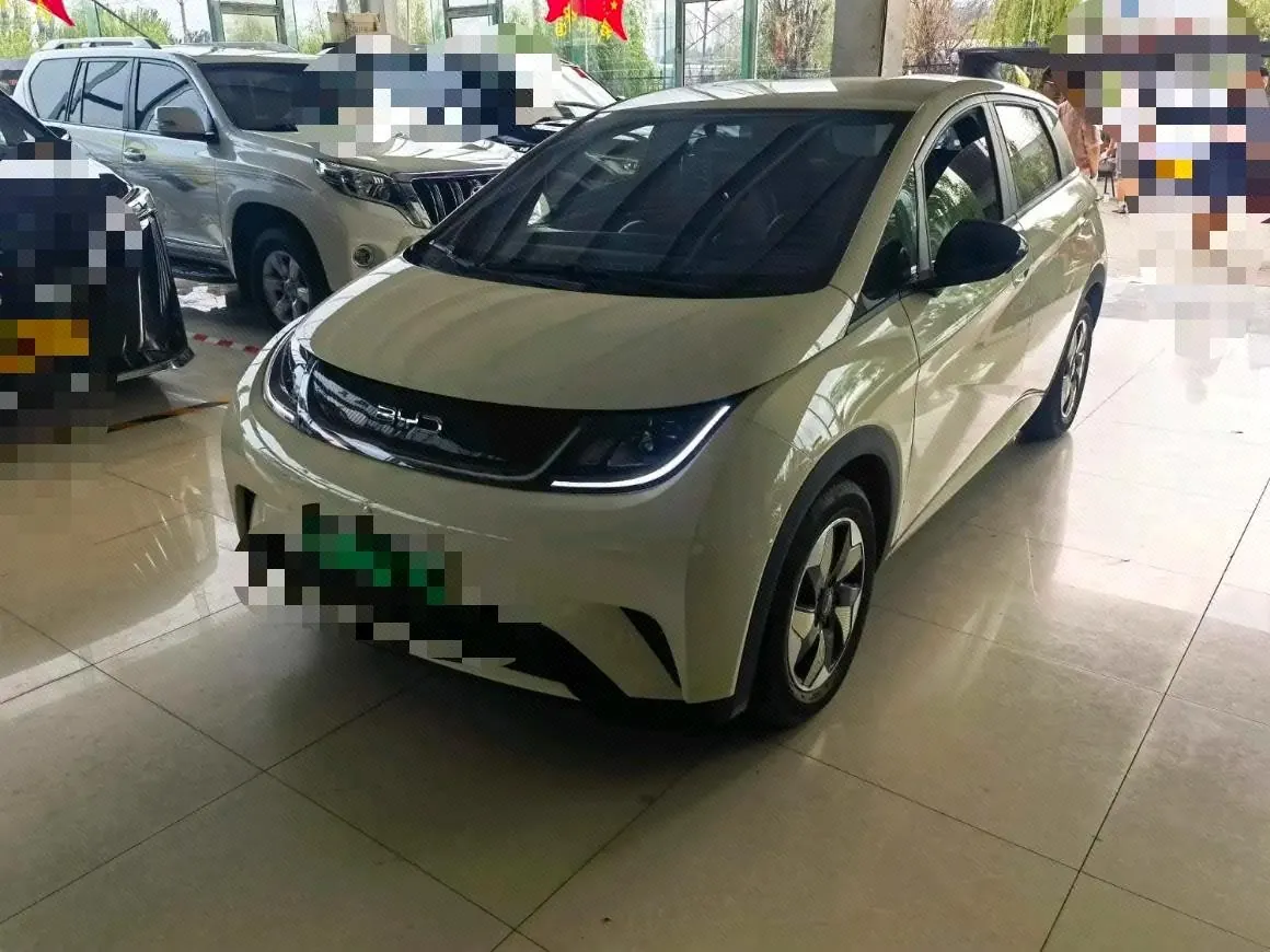 Open image lightbox: BYD 2025 Dolphin Smart Driving 420km Free Automatic