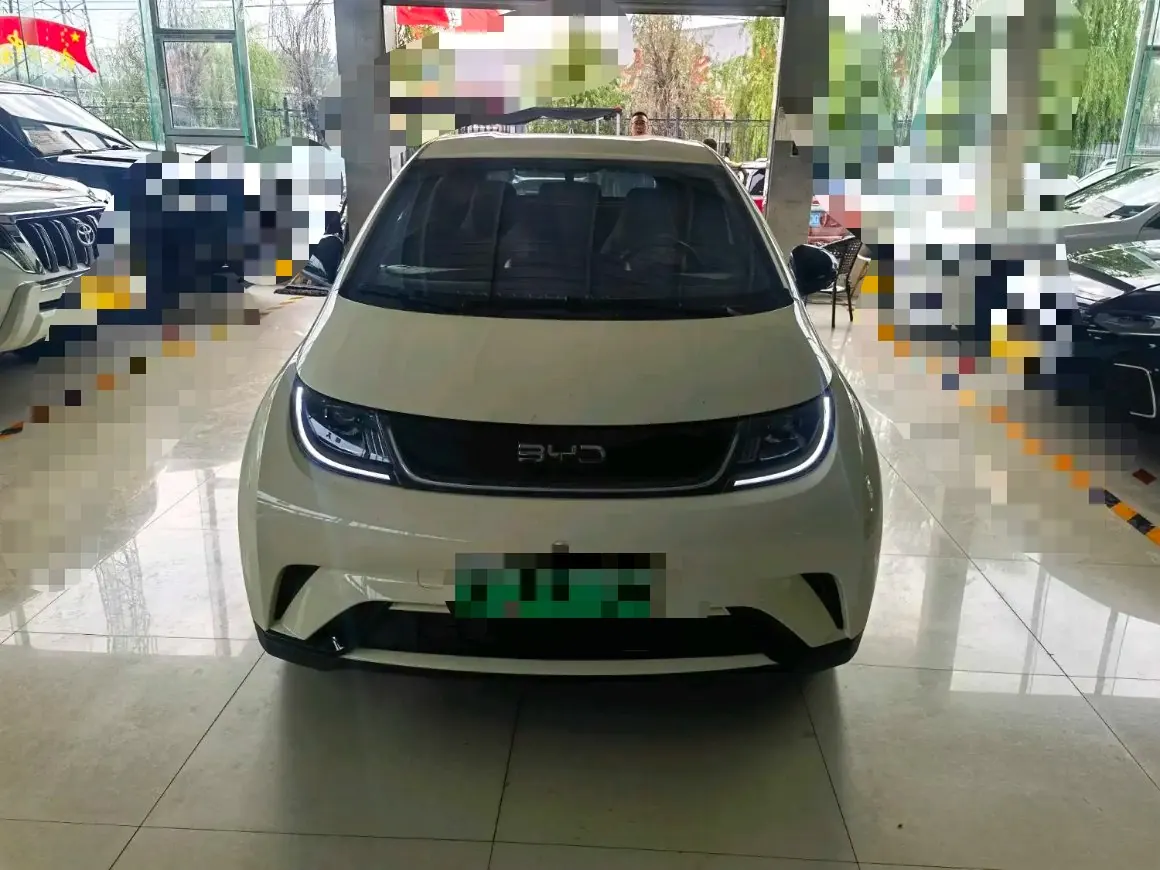 BYD 2025 Dolphin Smart Driving 420km Free Automatic 2