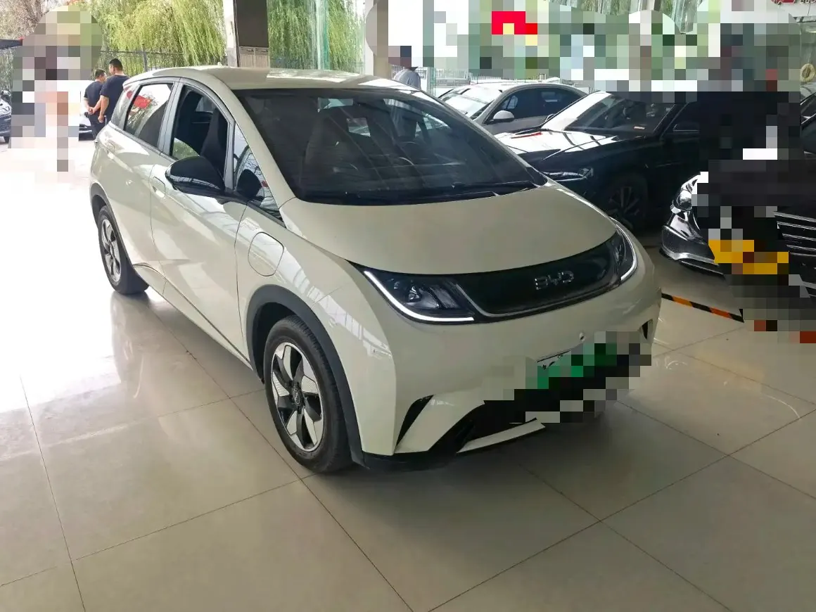 BYD 2025 Dolphin Smart Driving 420km Free Automatic 3