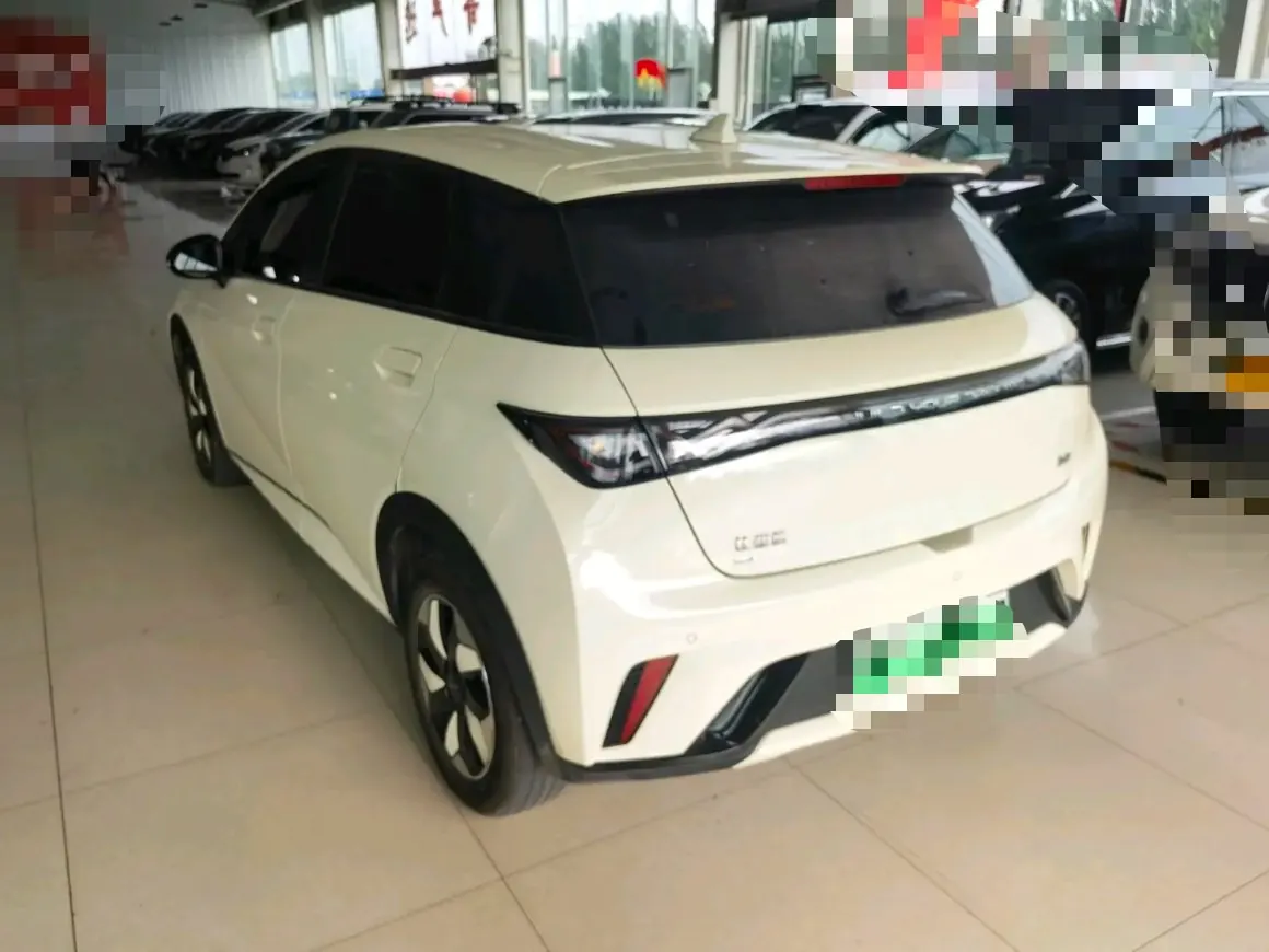 BYD 2025 Dolphin Smart Driving 420km Free Automatic 4