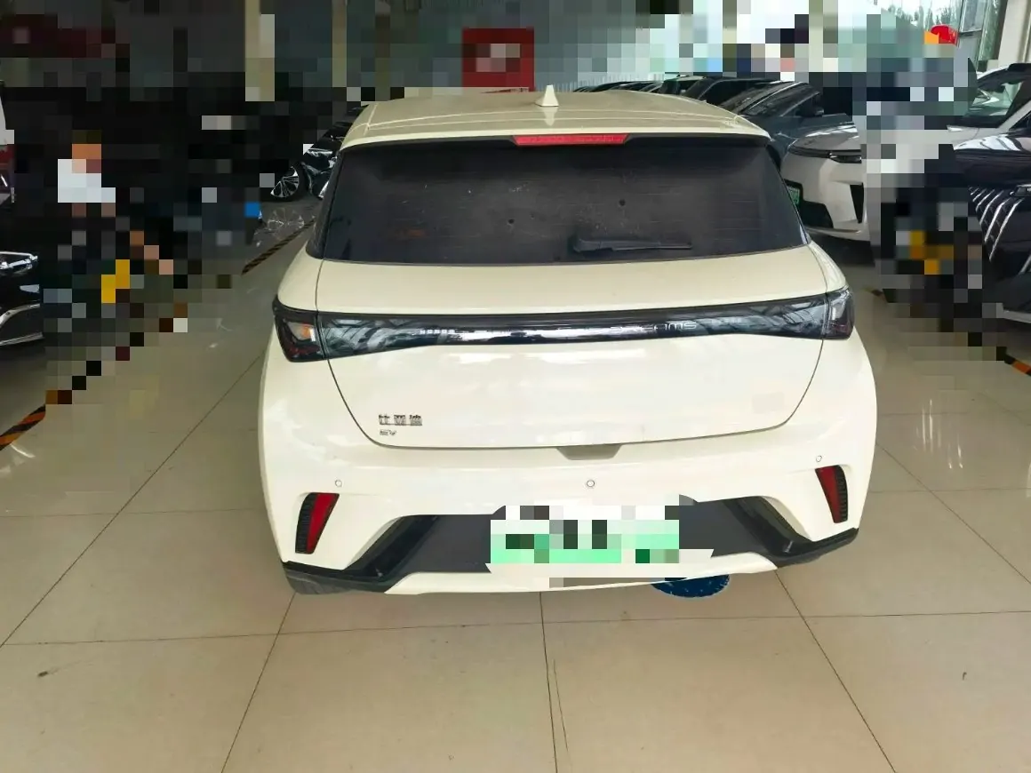 BYD 2025 Dolphin Smart Driving 420km Free Automatic 5