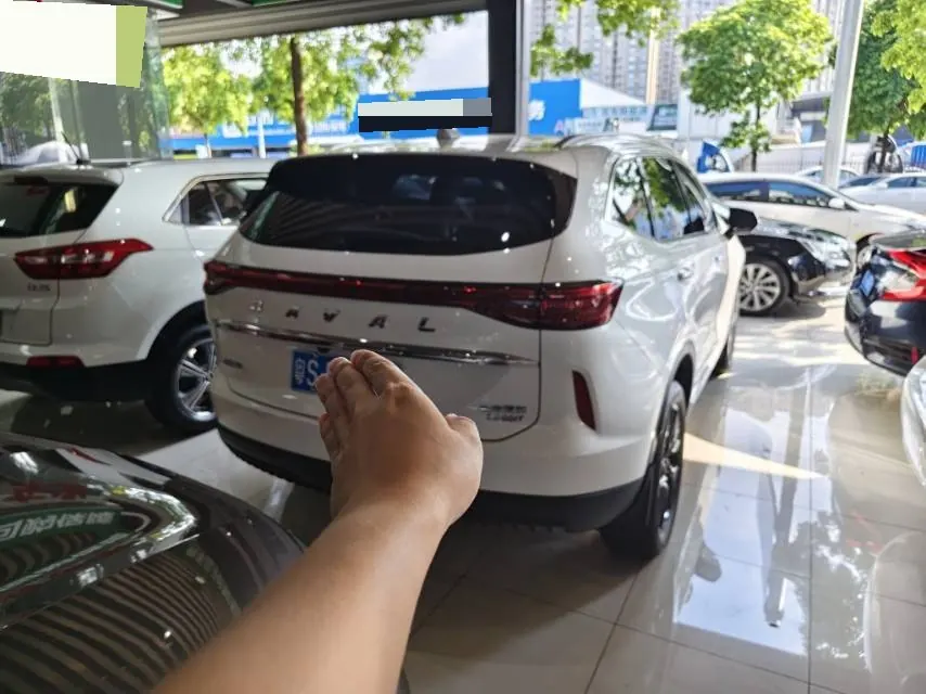 Haver 2021 H6 2.0GDIT Two-Drive MaxAutomatic 5