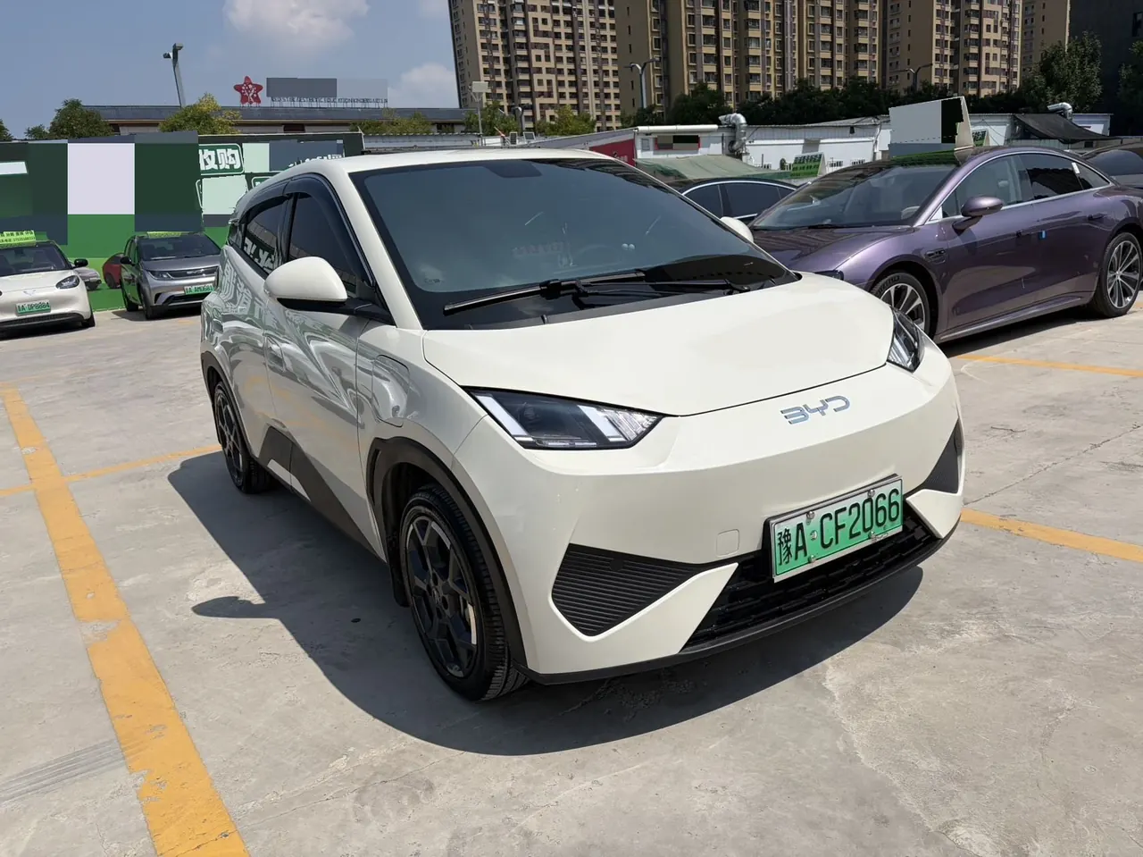 BYD 2025 Seagull 405km Flying Edition Automatic Gear 3
