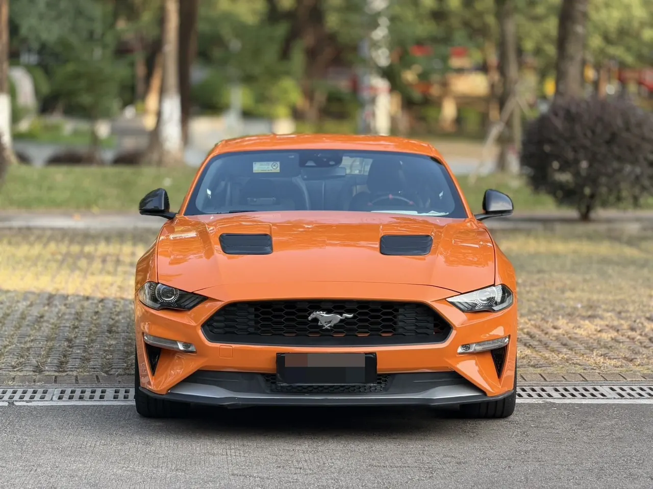 Ford Yema (Imported) 2020 Yema S 2.3T EcoBoost Shadow Performance Advanced Edition Automatic Gear 2
