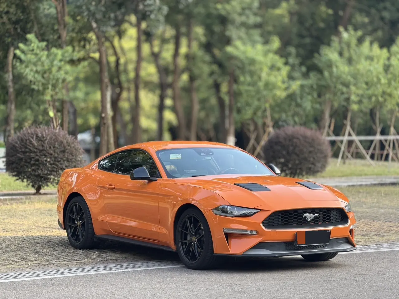 Ford Yema (Imported) 2020 Yema S 2.3T EcoBoost Shadow Performance Advanced Edition Automatic Gear 3