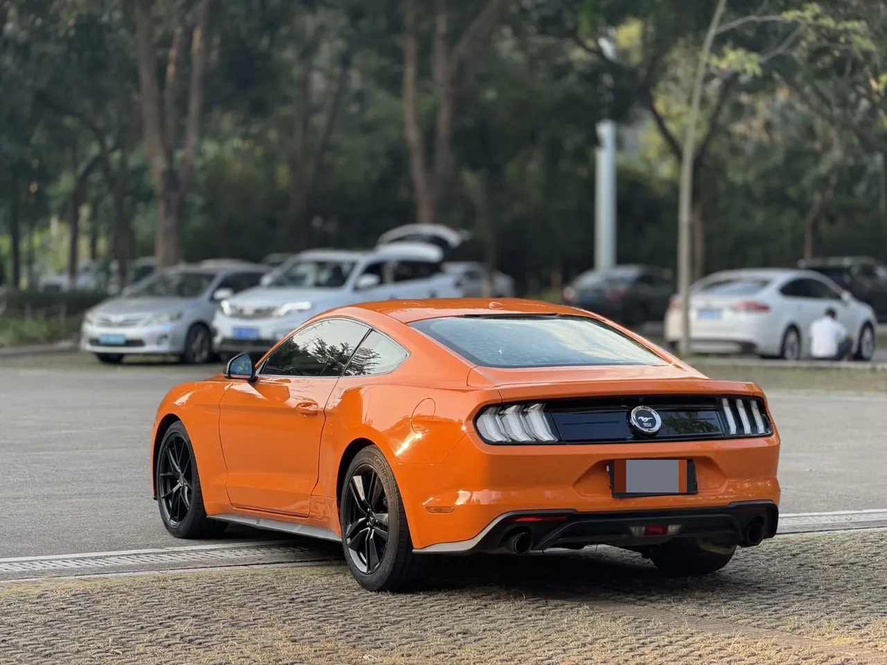 Ford Yema (Imported) 2020 Yema S 2.3T EcoBoost Shadow Performance Advanced Edition Automatic Gear 4