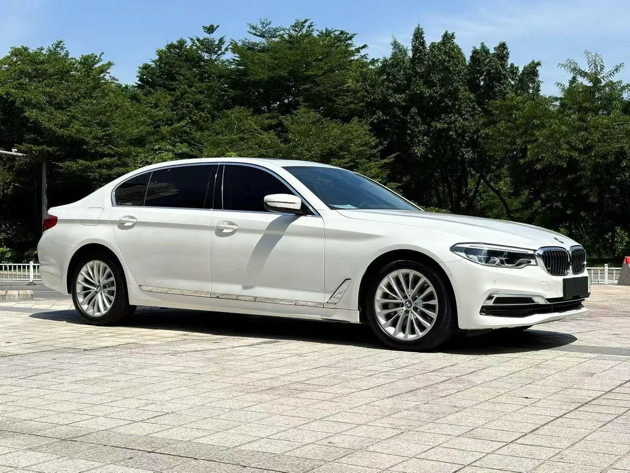 BMW 5 Series 2020 530Li 2.0T Leading Luxury Suit Automatic Gear 3