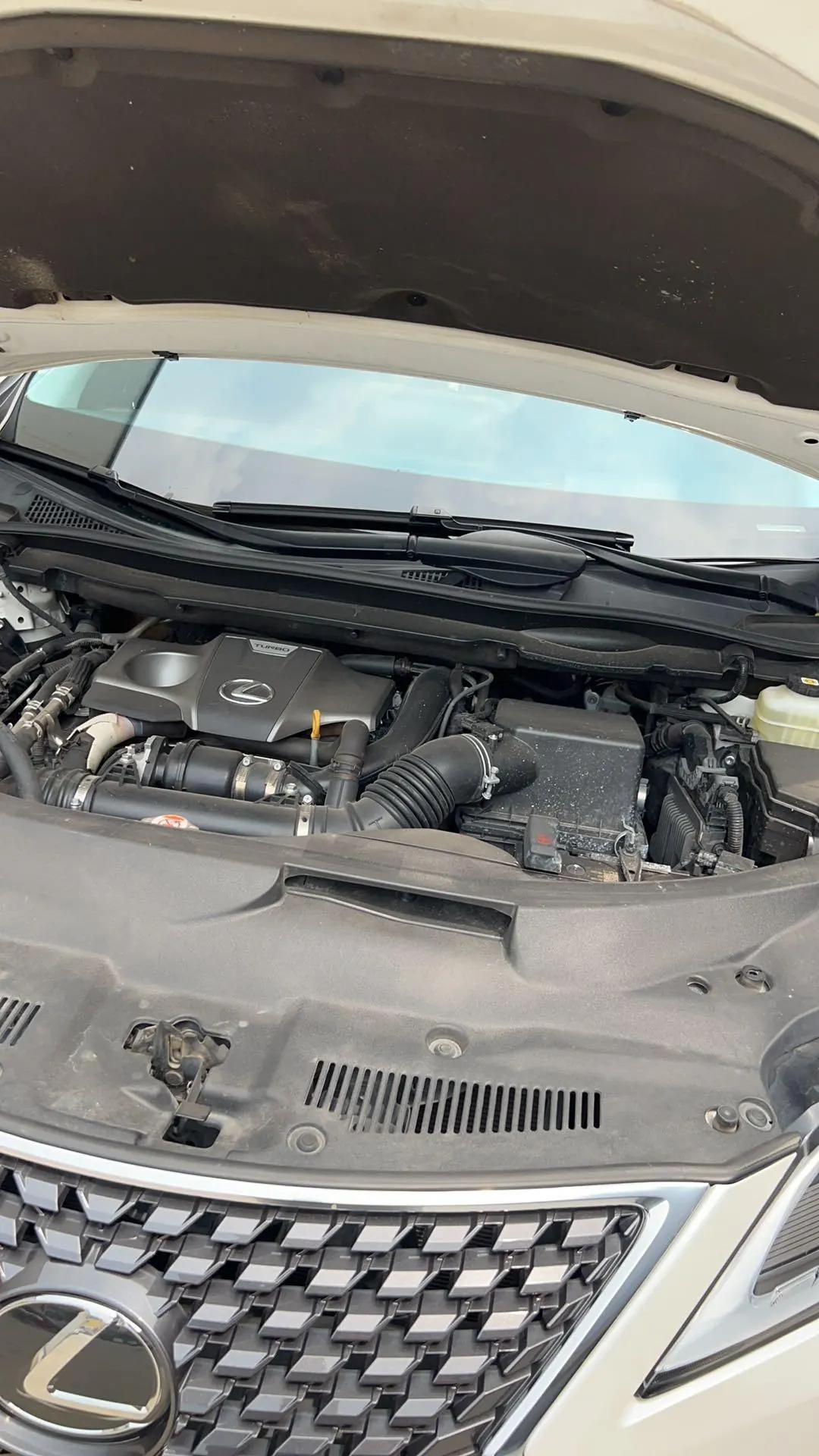 Lexus RX (Imported) 2020 RX300 2.0T Four-wheel Drive Elegant Edition (Modified) Automatic Gear 6