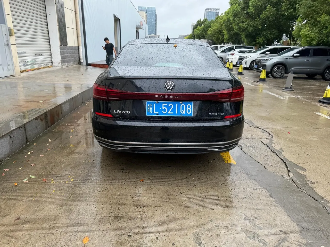 Volkswagen 2024 Passat 2.0TSI 380TSI Longyao Edition Automatic Gear 8