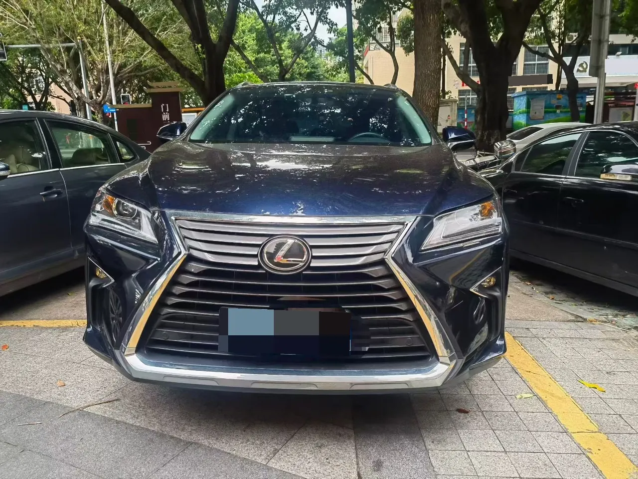 Lexus RX (Imported) 2020 RX300 2.0T Two-Drive Elite Automatic Gear 2