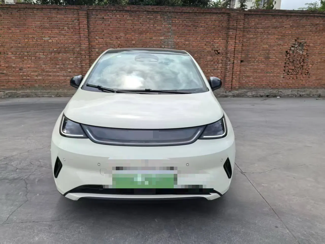 BYD 2025 Dolphin Smart Driving 410km Fashion Automatic Gear 2