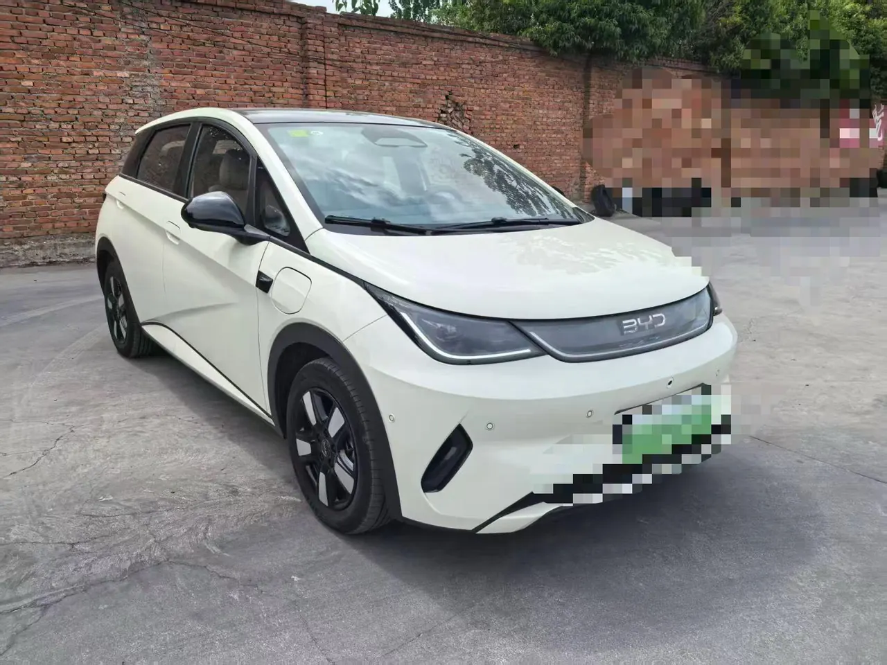 BYD 2025 Dolphin Smart Driving 410km Fashion Automatic Gear 3