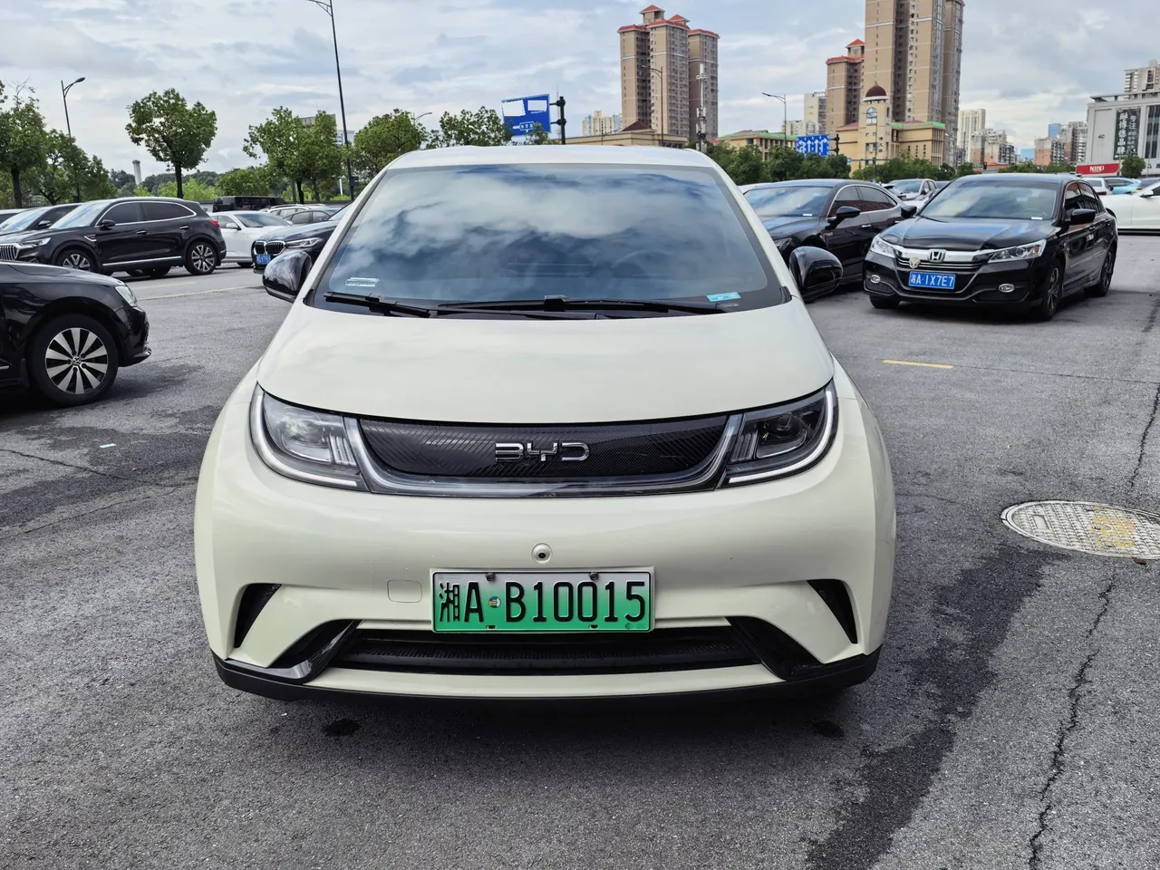 BYD 2025 Dolphins 420km Free Edition Automatic 4
