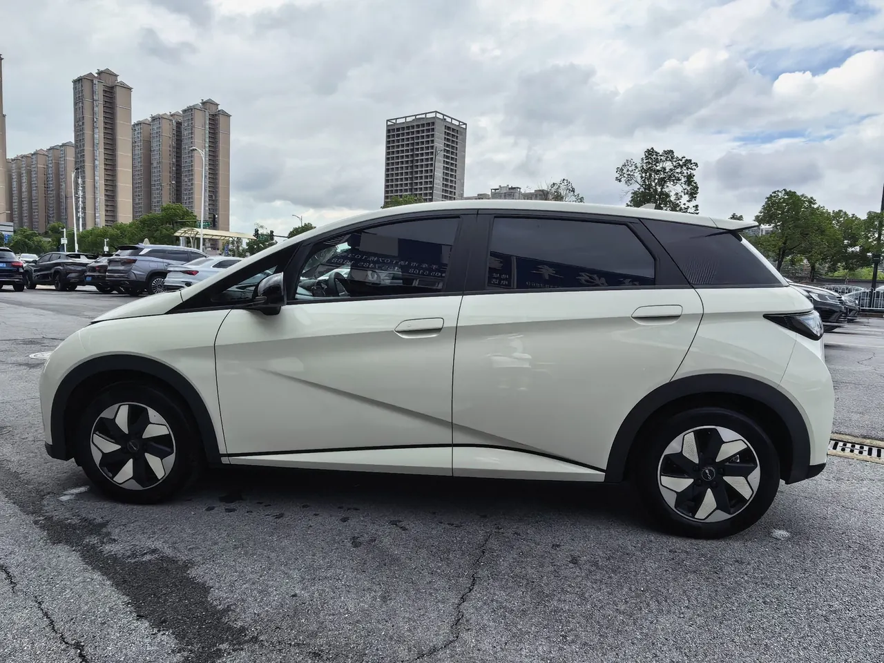 BYD 2025 Dolphins 420km Free Edition Automatic 8