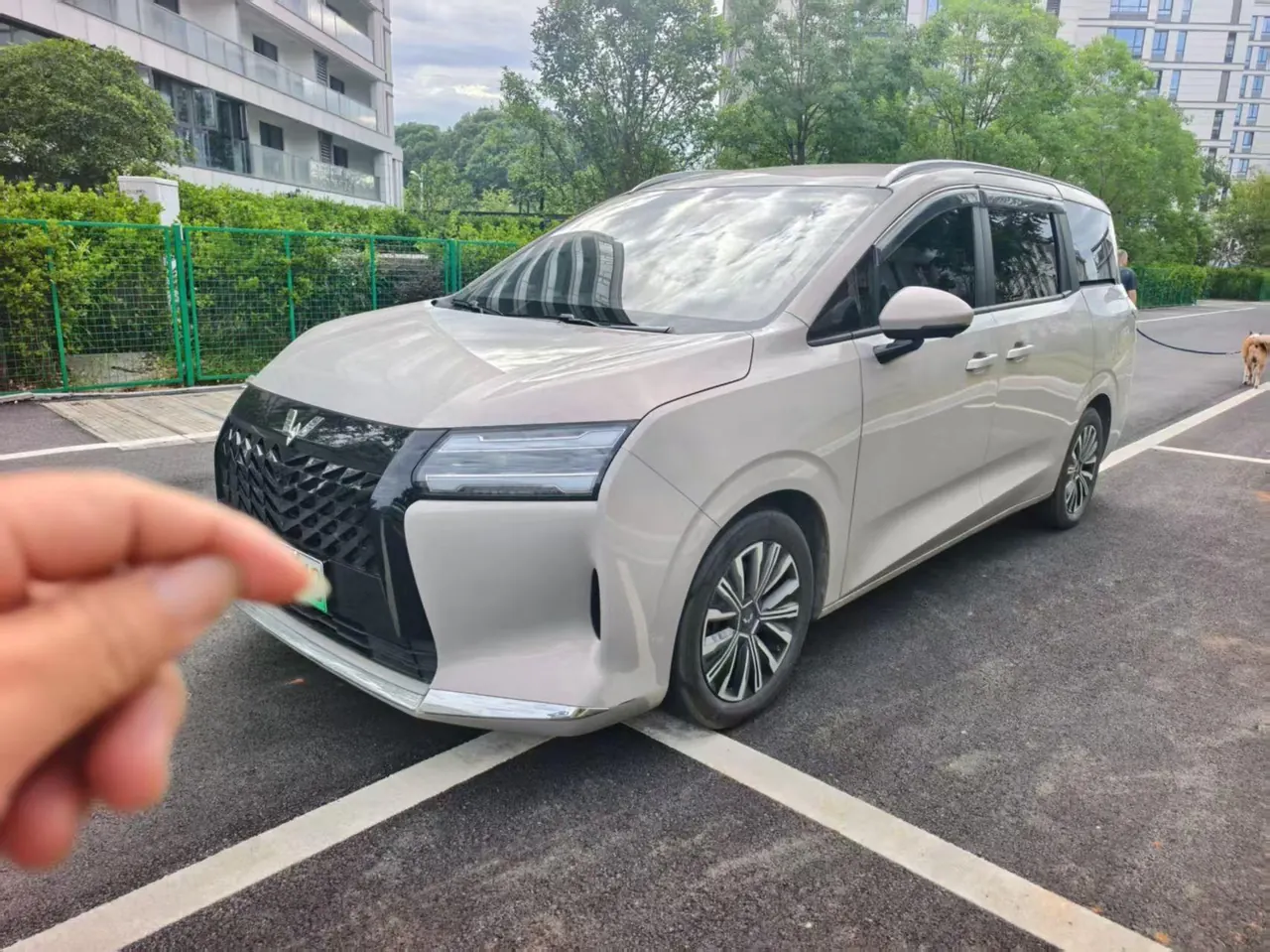 打开图片灯箱:WuLing 2025 Starlight 730 1.5 Stepless 125km Luxury Automatic Transmission